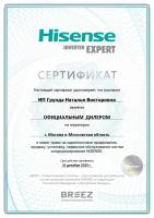 Hisense AS-10HW4SYDTG5B